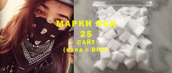 индика Белокуриха