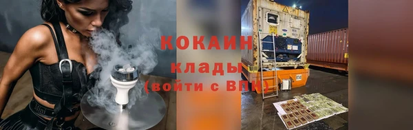 индика Белокуриха