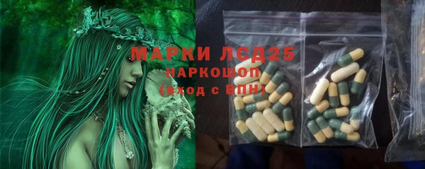 СК Беломорск