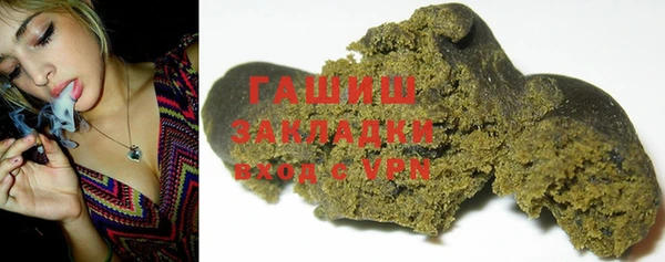 индика Белокуриха
